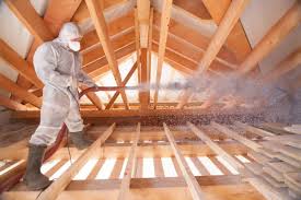 Best Insulation Removal  in Peshtigo, WI