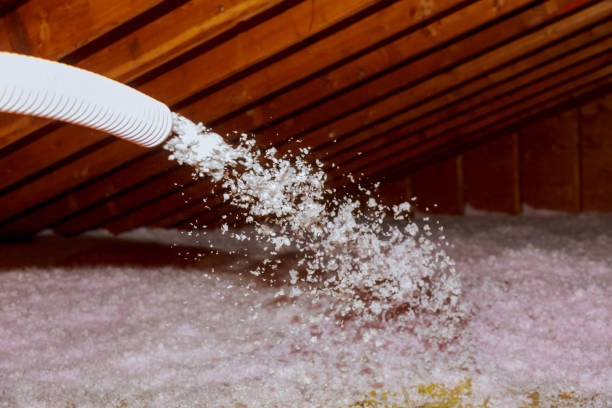 Reliable Peshtigo, WI Insulation Installation & Removal Solutions